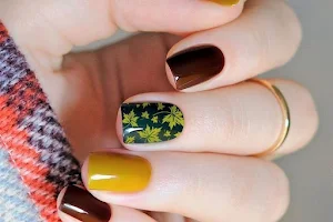 Lavish Nails & Spa image