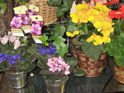 Florist «Best Wishes Floral», reviews and photos, 689 Winnetka Ave N, Golden Valley, MN 55427, USA