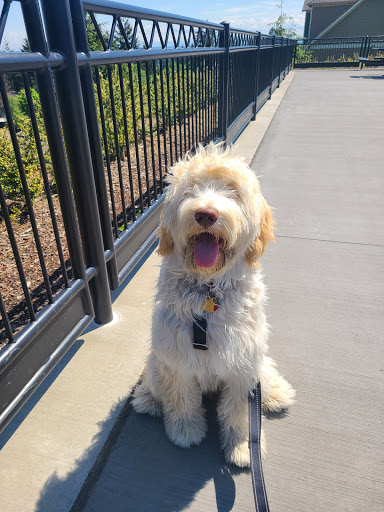 Pet Supply Store «Fluffy & Floyd Pet Supply», reviews and photos, 5211 Capitol Blvd SE, Tumwater, WA 98501, USA