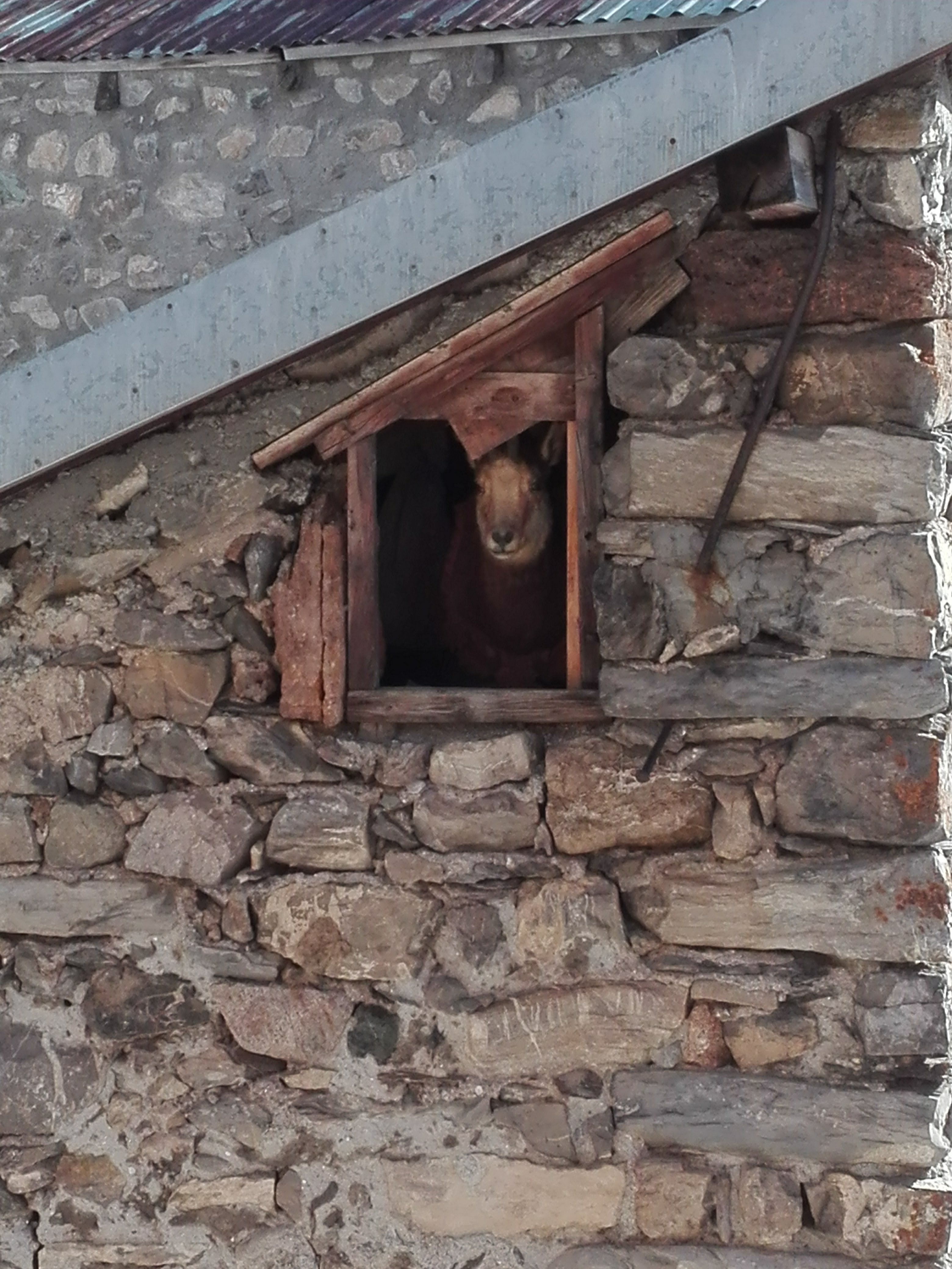 Photo n° 1 de l'avis de Guy.O fait le 09/04/2018 à 16:22