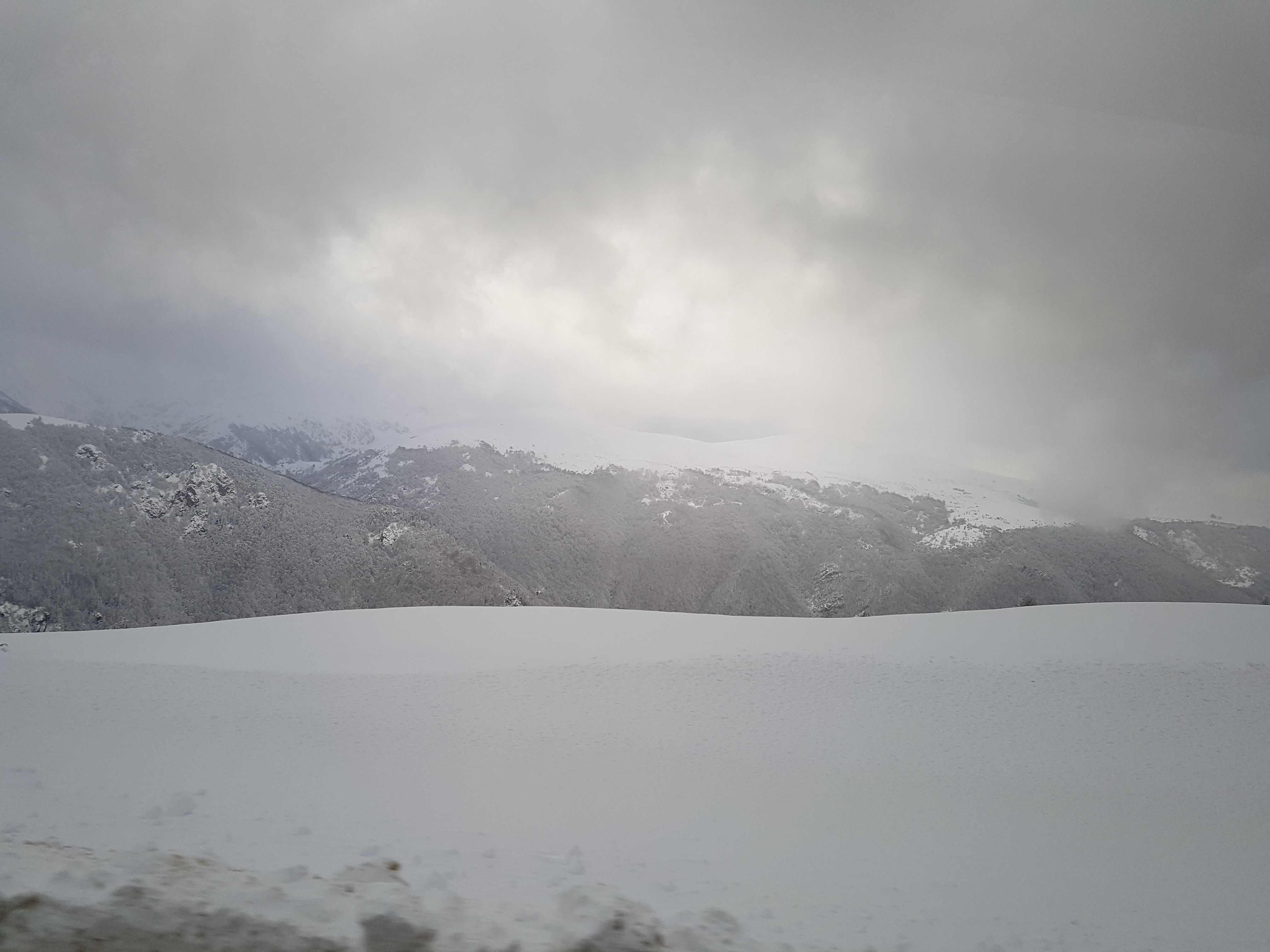 Photo n° 5 de l'avis de RedBull. fait le 06/03/2018 à 15:51