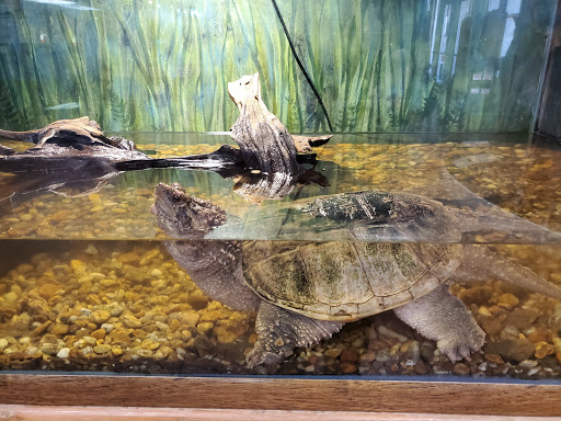 Nature Preserve «Calusa Nature Center & Planetarium», reviews and photos, 3450 Ortiz Ave, Fort Myers, FL 33905, USA