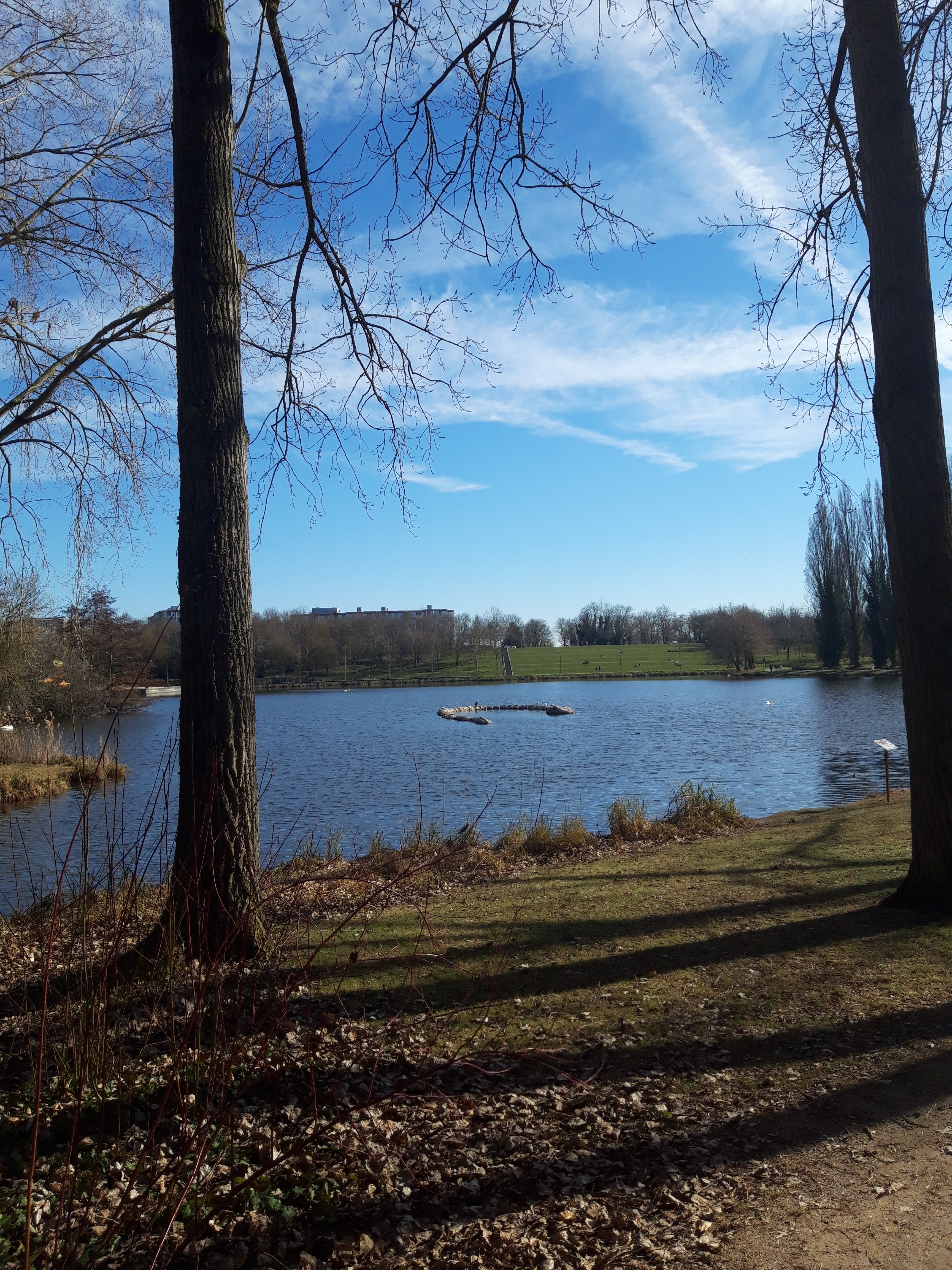 Photo n° 20 de l'avis de Pierre.h fait le 05/01/2019 à 15:43
