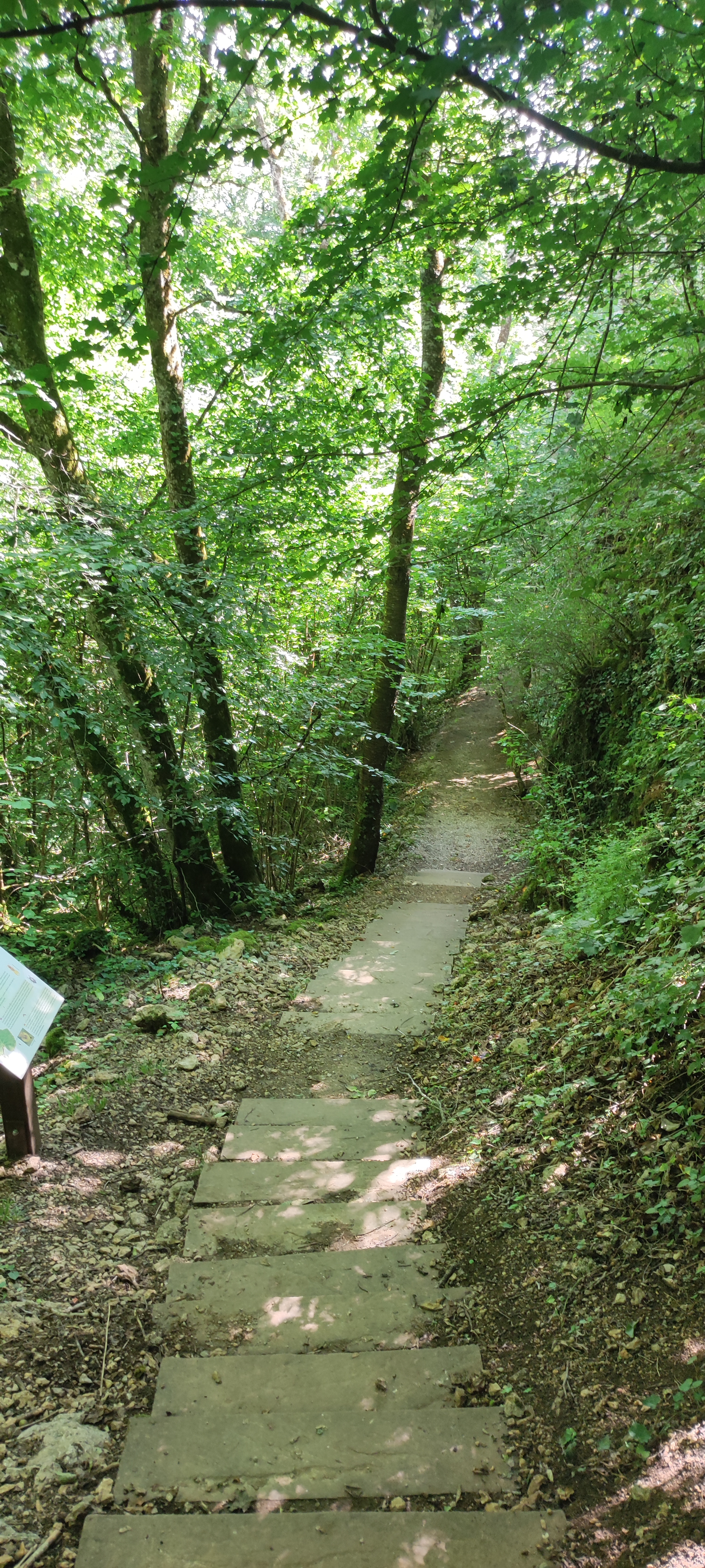 Photo n° 1 de l'avis de S.T.L.� fait le 29/06/2022 à 15:58