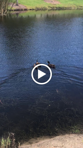 Golf Course «Dubsdread Golf Course», reviews and photos, 549 W Par St, Orlando, FL 32804, USA