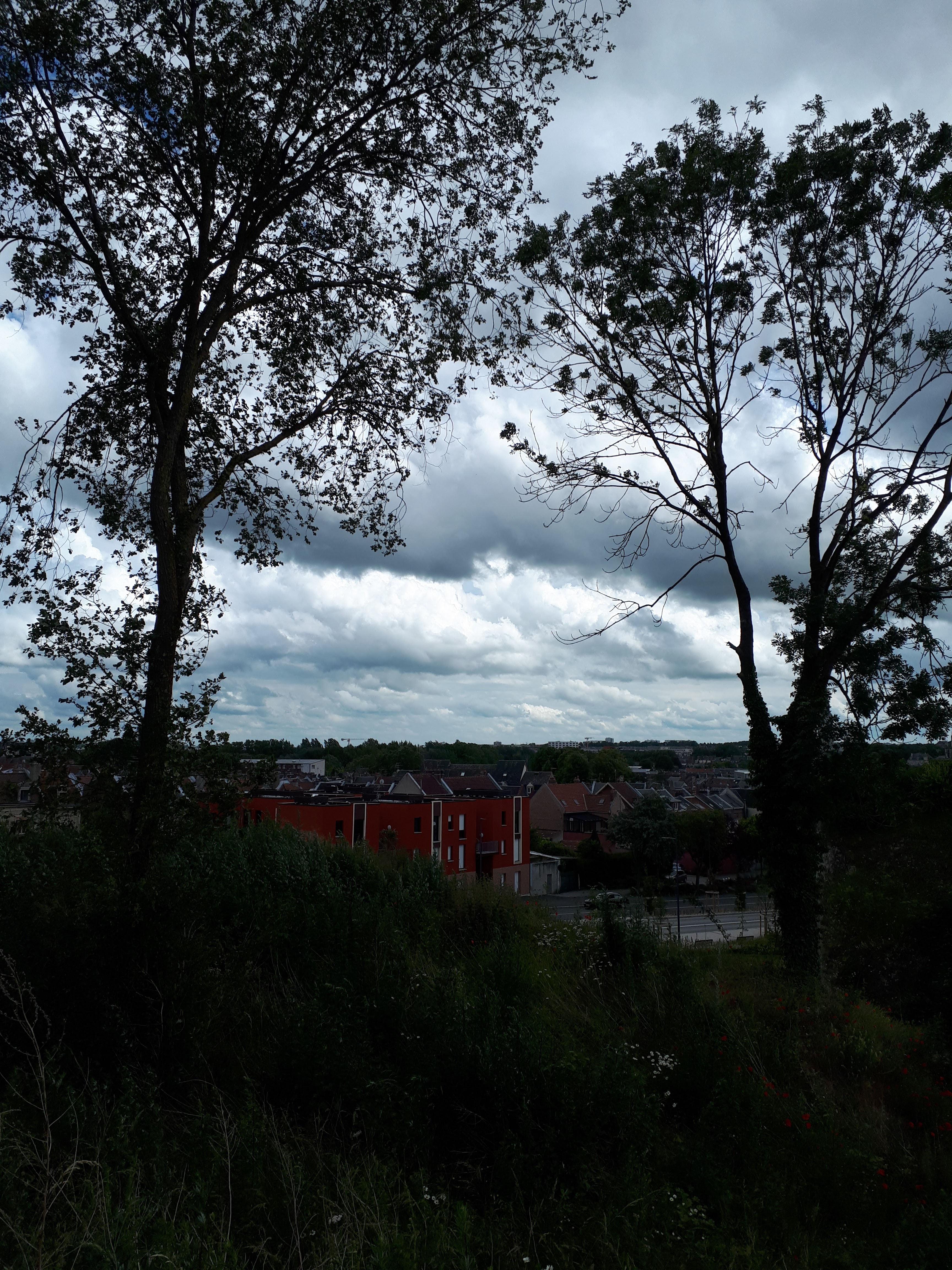 Photo n° 3 de l'avis de ilaf.a fait le 16/06/2019 à 14:54