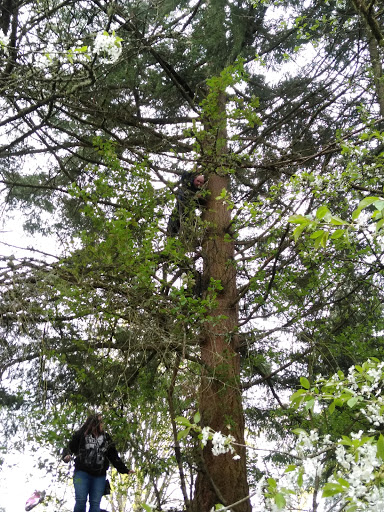 Park «Sacajawea Park», reviews and photos, 1401 S Dash Point Rd, Federal Way, WA 98003, USA