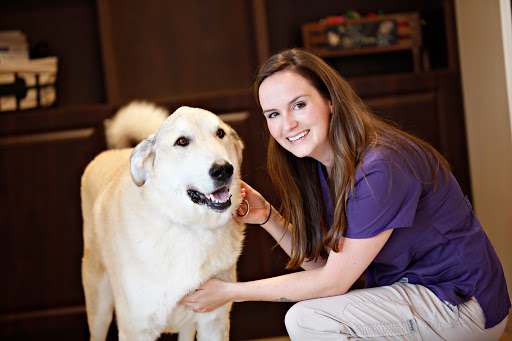 Parkside Animal Hospital image