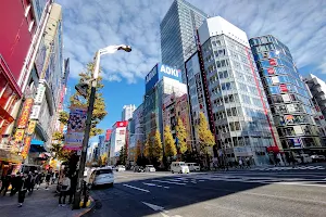 Akihabara Electric Town image