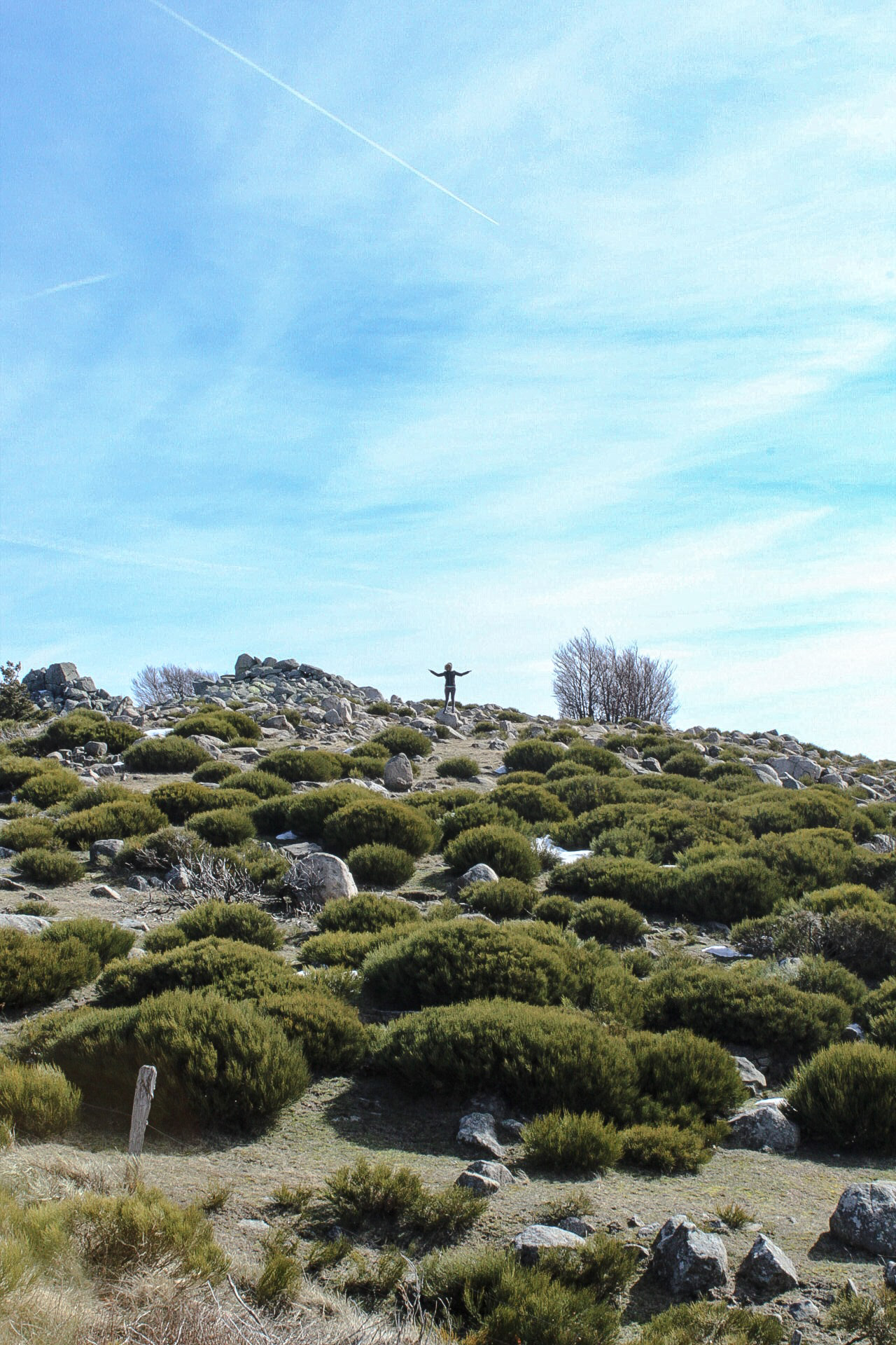 Photo n° 6 de l'avis de Nature.n fait le 15/03/2018 à 06:55