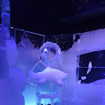 Photo n°19 de l'avis de Shachar.i fait le 17/11/2021 à 22:16 sur le  Berlin Icebar à Berlin