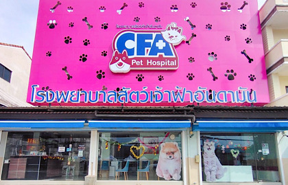 CFA Pet Hospital