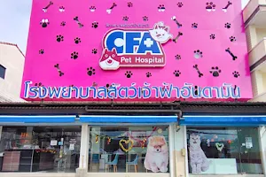 CFA Pet Hospital image