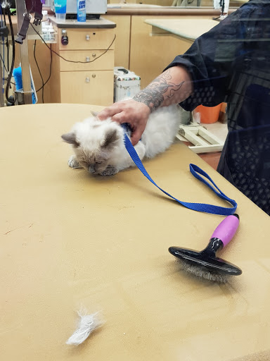 Pet Supply Store «PetSmart», reviews and photos, 2122 N 2nd St, Millville, NJ 08332, USA