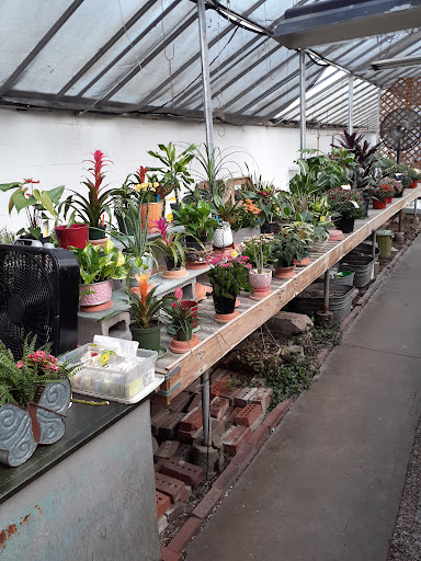 Orchid grower South Bend