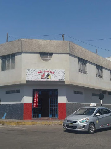 Opiniones de Veterinaria Mis Patitas en Tacna - Veterinario