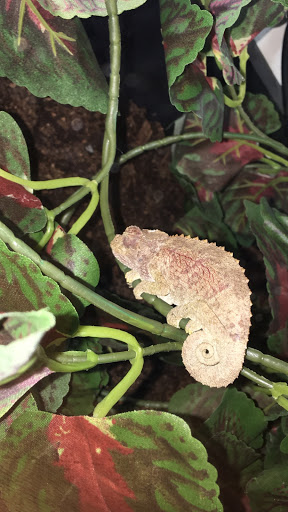 Pet Store «Pet Zone», reviews and photos, 1620 Marion-Mt Gilead Rd, Marion, OH 43302, USA