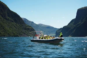 FjordSafari - Flam Guide Service AS image