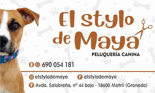El Stylo De Maya Peluqueria Canina