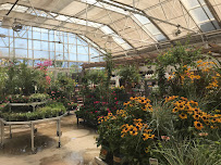 Sun River Gardens - Photo 7 - Car repair in Orem, UT, Provo