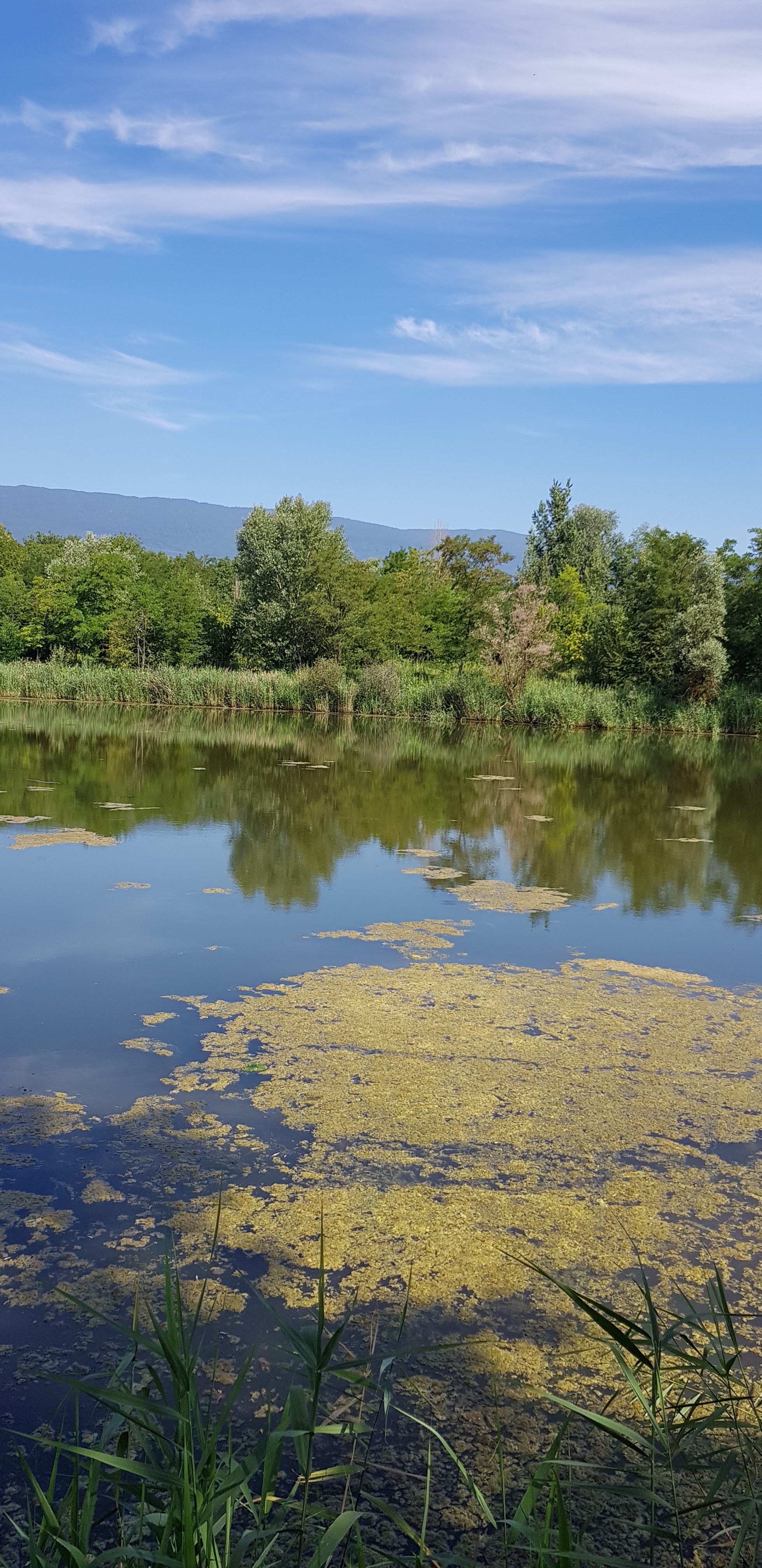 Photo n° 6 de l'avis de Val.i fait le 13/07/2018 à 14:12