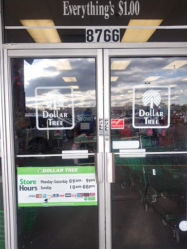 Dollar Store «Dollar Tree», reviews and photos, 8766 W Dempster St, Niles, IL 60714, USA