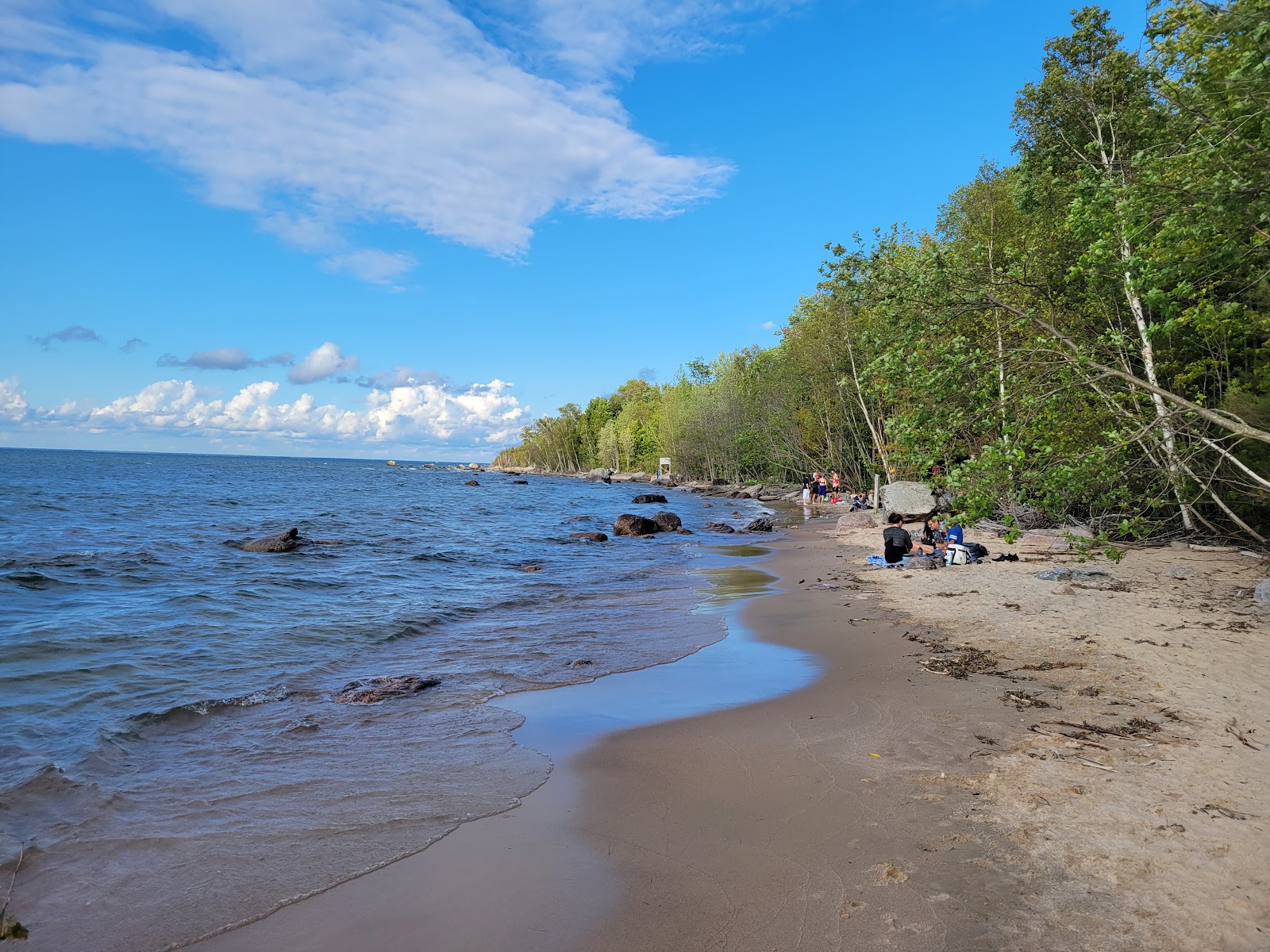 Awenda Pet Beach Area'in fotoğrafı çok temiz temizlik seviyesi ile