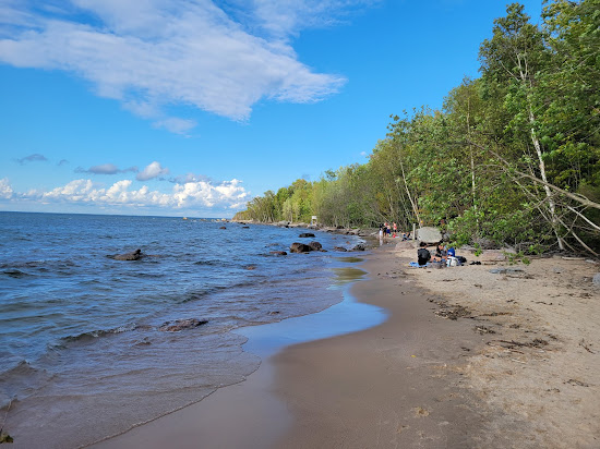 Awenda Pet Beach Area