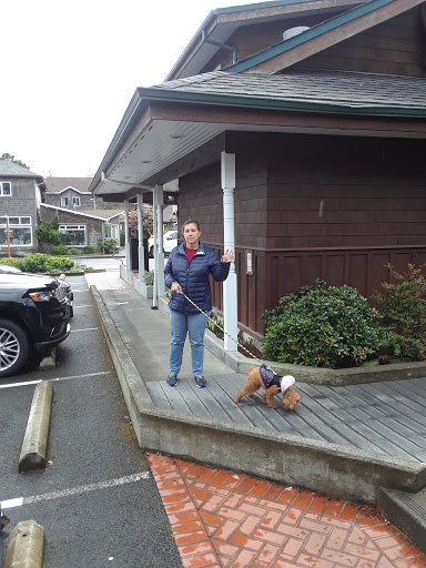 Pet Supply Store «Puppy Love By the Sea», reviews and photos, 271 N Hemlock St, Cannon Beach, OR 97110, USA