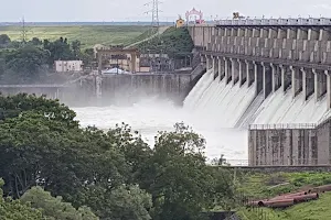 Jayakwadi Dam image