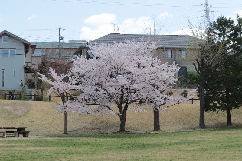 水広公園