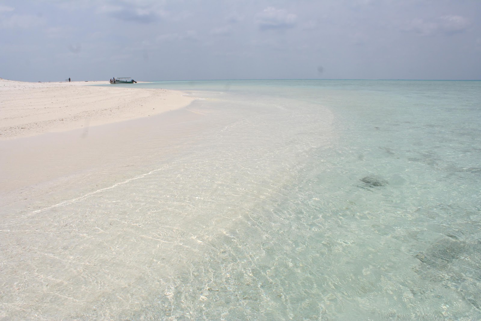 Foto de Sand Bank área selvagem