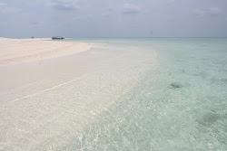 Sand Bank'in fotoğrafı vahşi alan