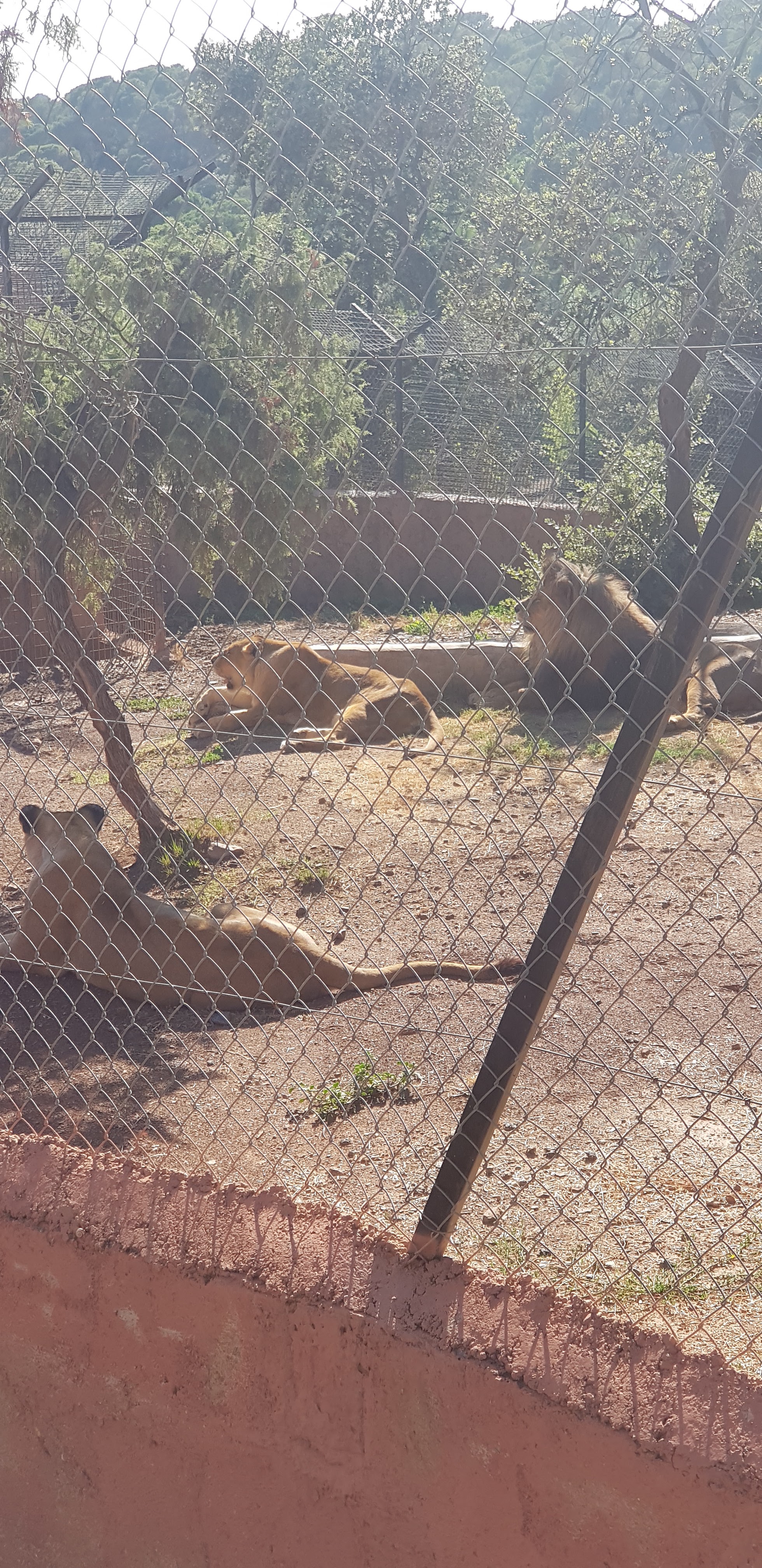 Photo n° 18 de l'avis de stephanie.a fait le 05/08/2018 à 15:29