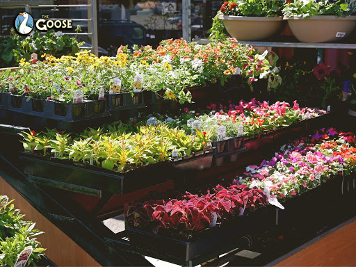 Grocery Store «The Goose», reviews and photos, 14485 WA-525, Langley, WA 98260, USA