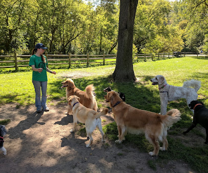 Eglinton Dog Walker & Puppy Training Services