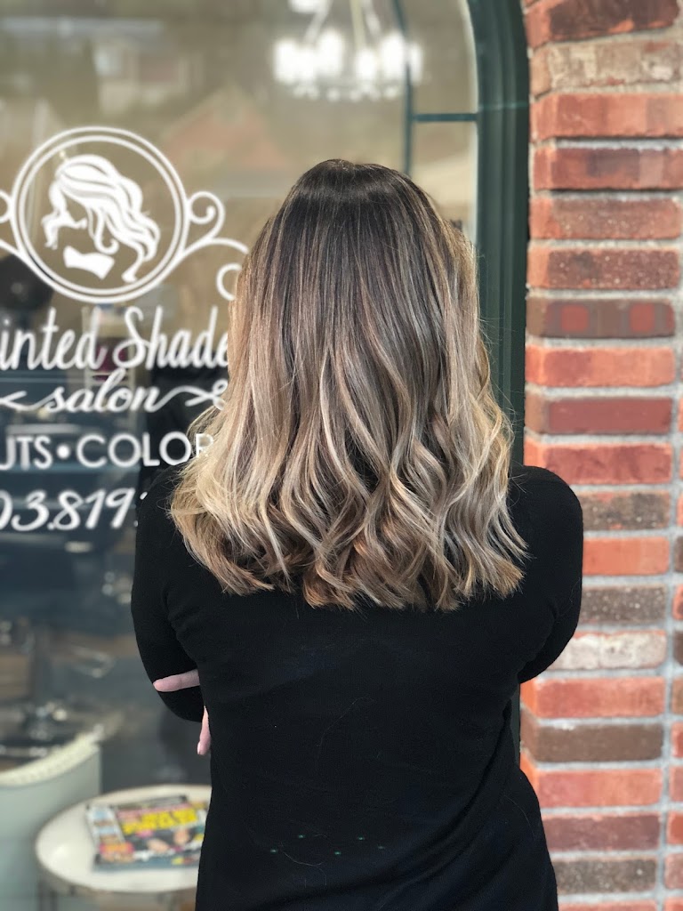 PAINTED SHADES HAIR SALON 97060