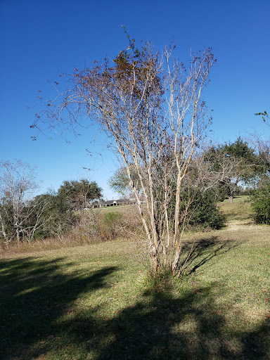 Golf Course «Pasadena Municipal Golf Course», reviews and photos, 1000 Duffer Lane, Houston, TX 77034, USA