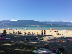 Foto von Plage des Pins d'Yvonand - beliebter Ort unter Entspannungskennern