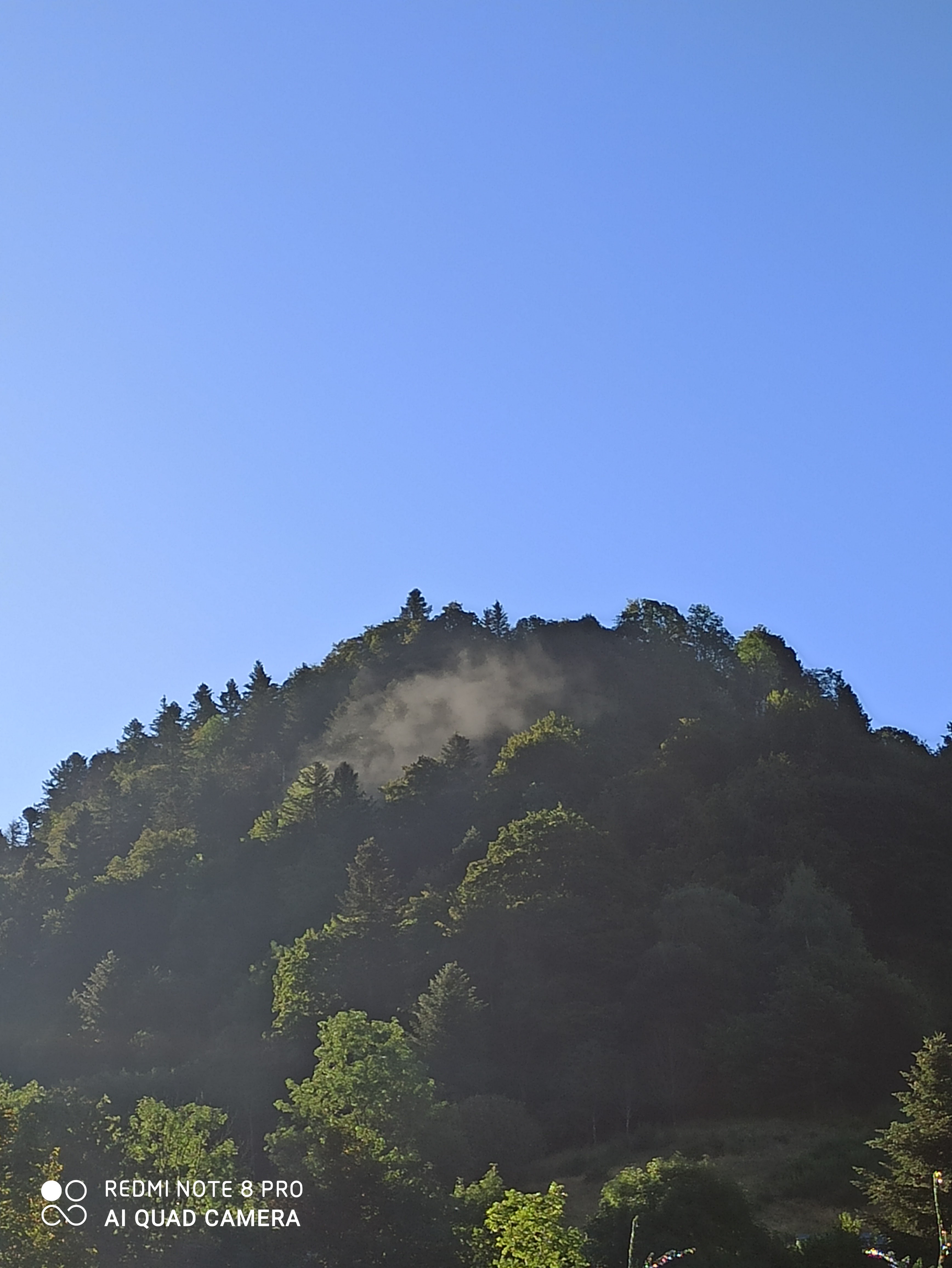 Photo n° 5 de l'avis de Franck.o fait le 22/08/2020 à 16:00