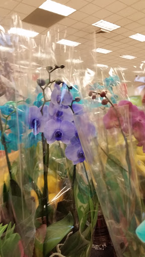 Department Store «Target», reviews and photos, 3885 E Main St, St Charles, IL 60174, USA