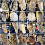 Photo du Salon de coiffure Pinup's coiffure Rouen - Place du vieux marché - Coloriste - Coiffeur - salon de coiffure à Rouen