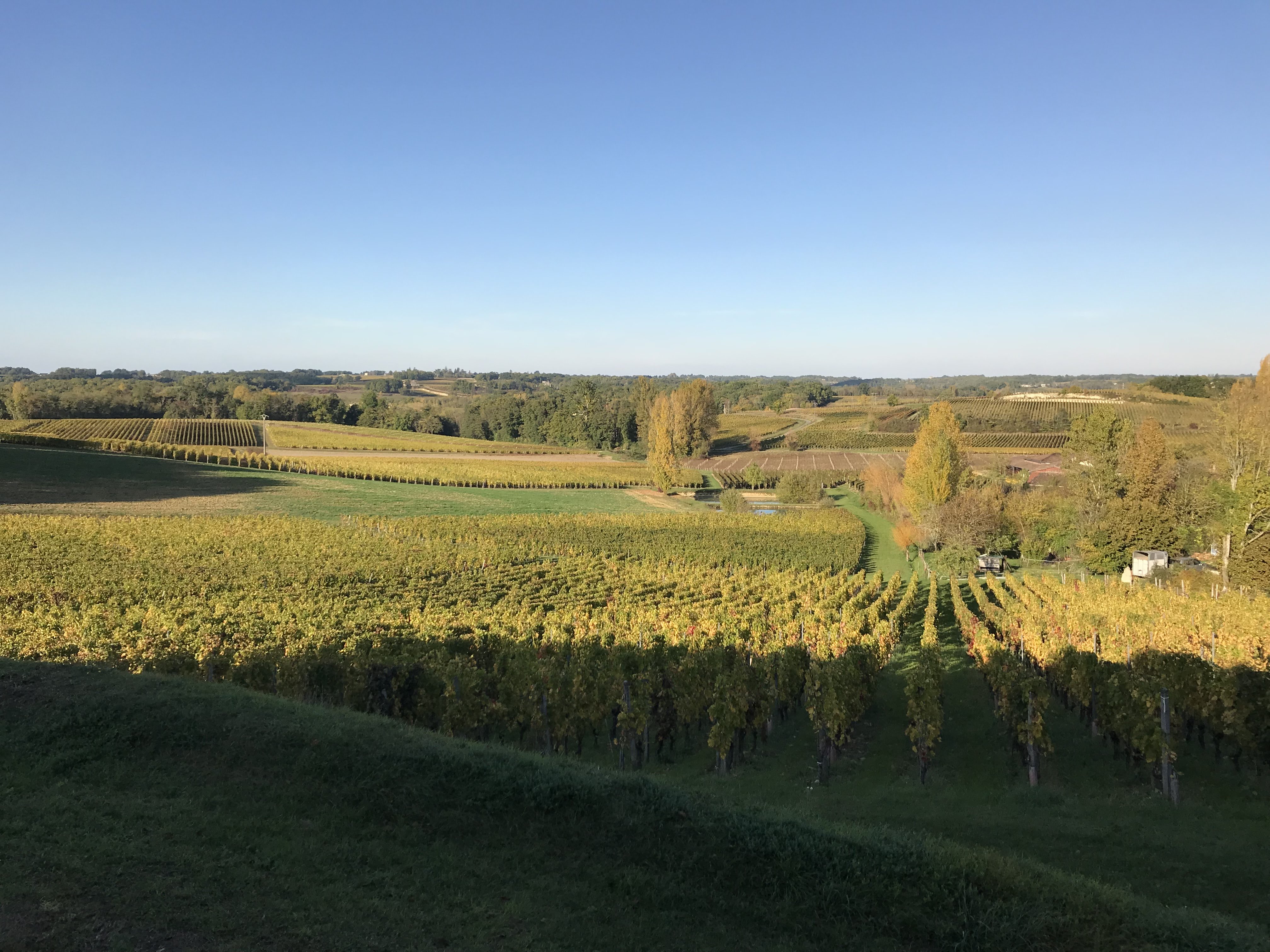 Photo n° 7 de l'avis de Keisuke. fait le 29/10/2017 à 20:42