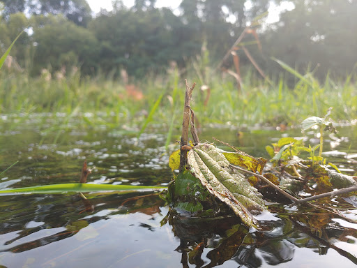 Park «Oliver Mill Park», reviews and photos, Nemasket St, Middleborough, MA 02346, USA