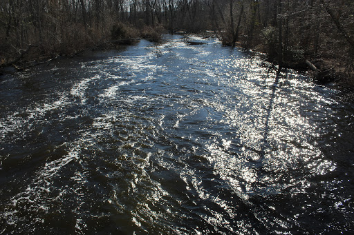 State Park «Parvin State Park», reviews and photos, 701 Almond Rd, Pittsgrove Township, NJ 08318, USA