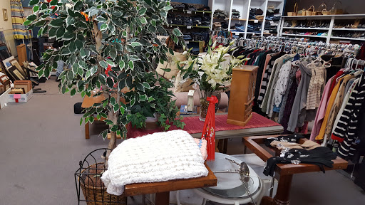 Thrift Store «Dog Junkies Thrift Store», reviews and photos, 4611 N Rancho Dr, Las Vegas, NV 89130, USA