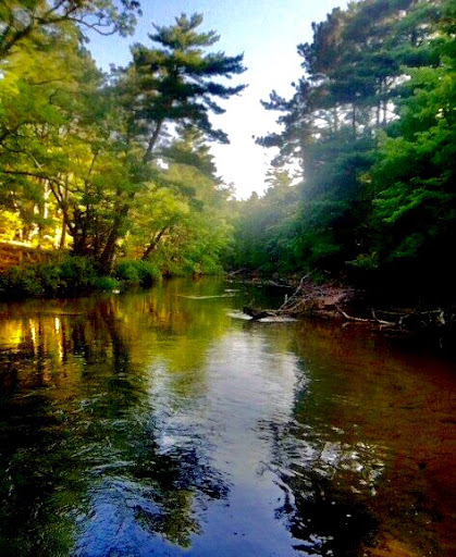 Canoe & Kayak Rental Service «Crystal River Outfitters Recreational District», reviews and photos, 6249 River Rd, Glen Arbor, MI 49636, USA