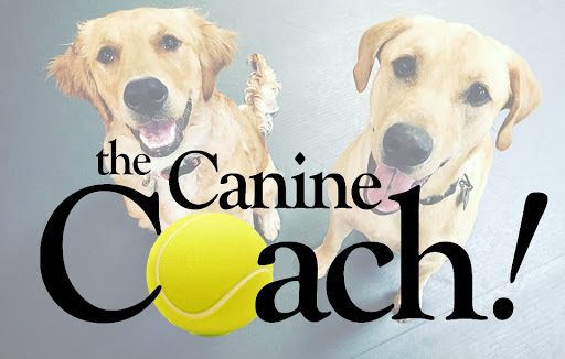 The Canine Coach - NE Minneapolis