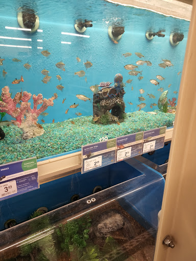Pet Supply Store «PetSmart», reviews and photos, 3950 28th St SE, Kentwood, MI 49512, USA