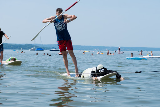 Surf-/Segel und Katamaranschule am Starnberger See